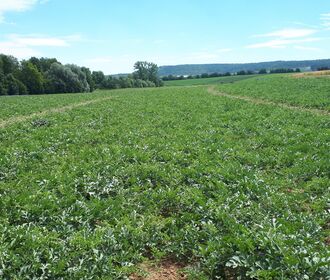 K1600 20190705 132506